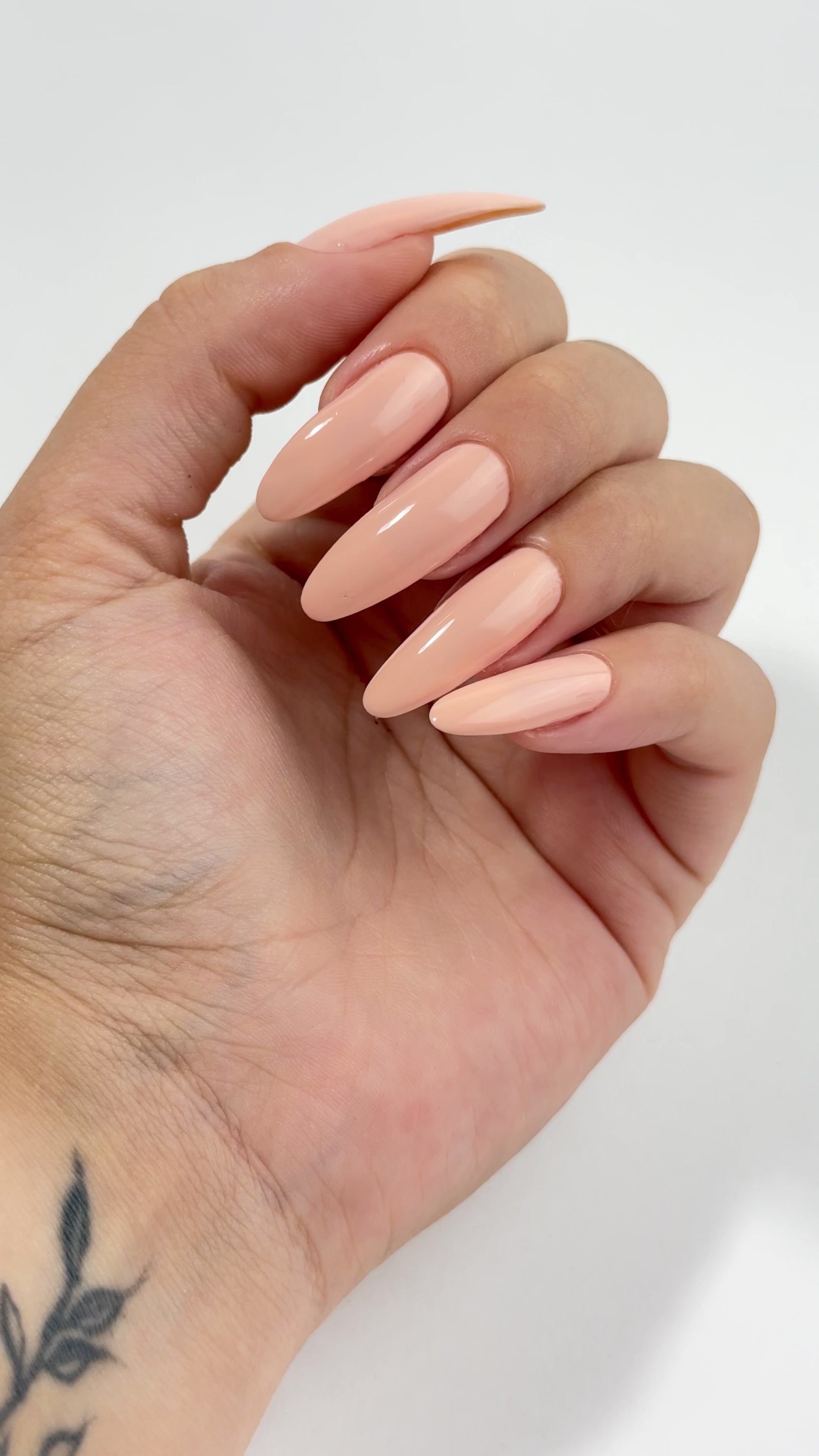 Carregar vídeo: Nutri Color - Care &amp; Colour - NC11