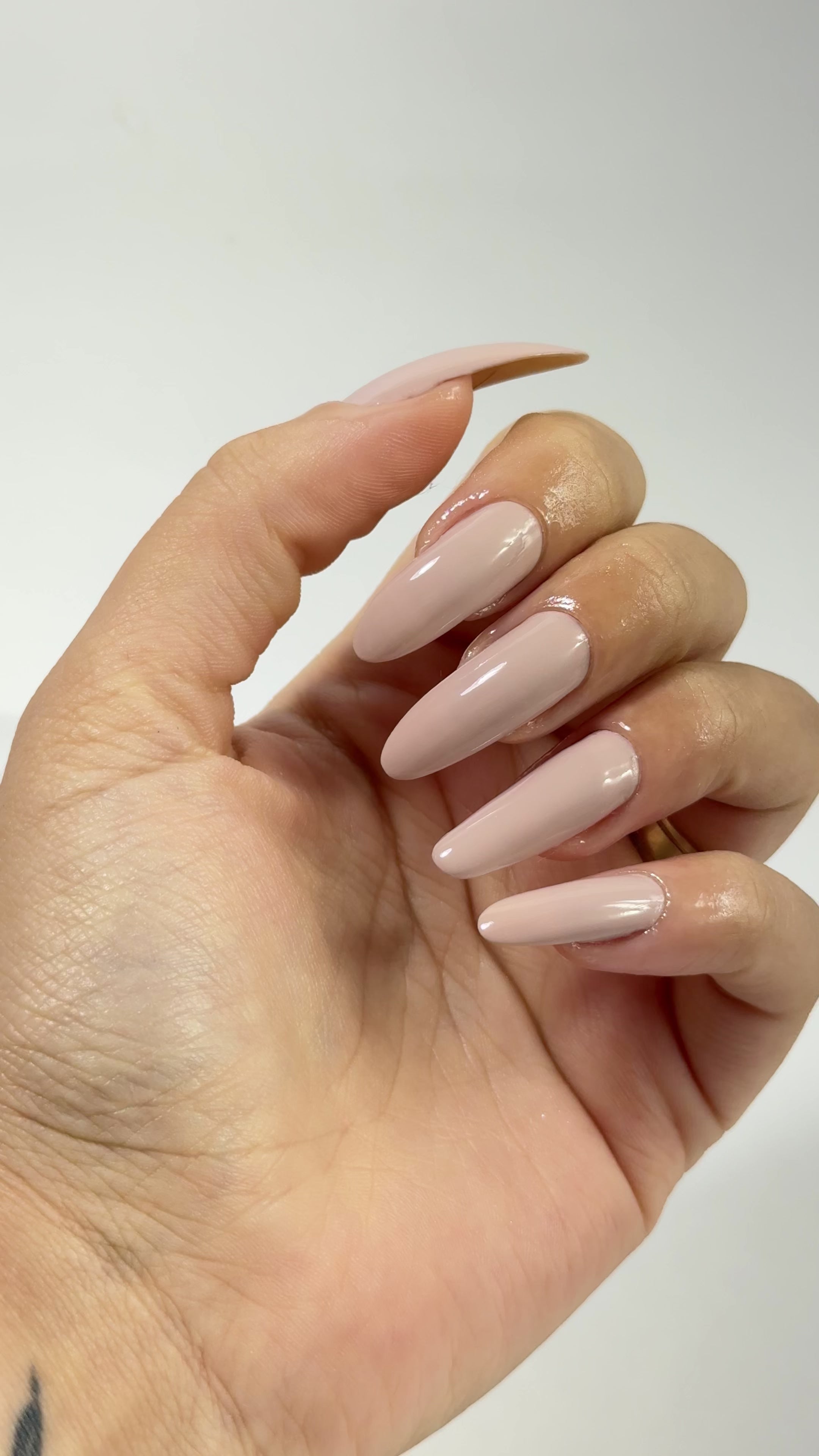 Carregar vídeo: Hybrid Gel - Fusion Color - H6