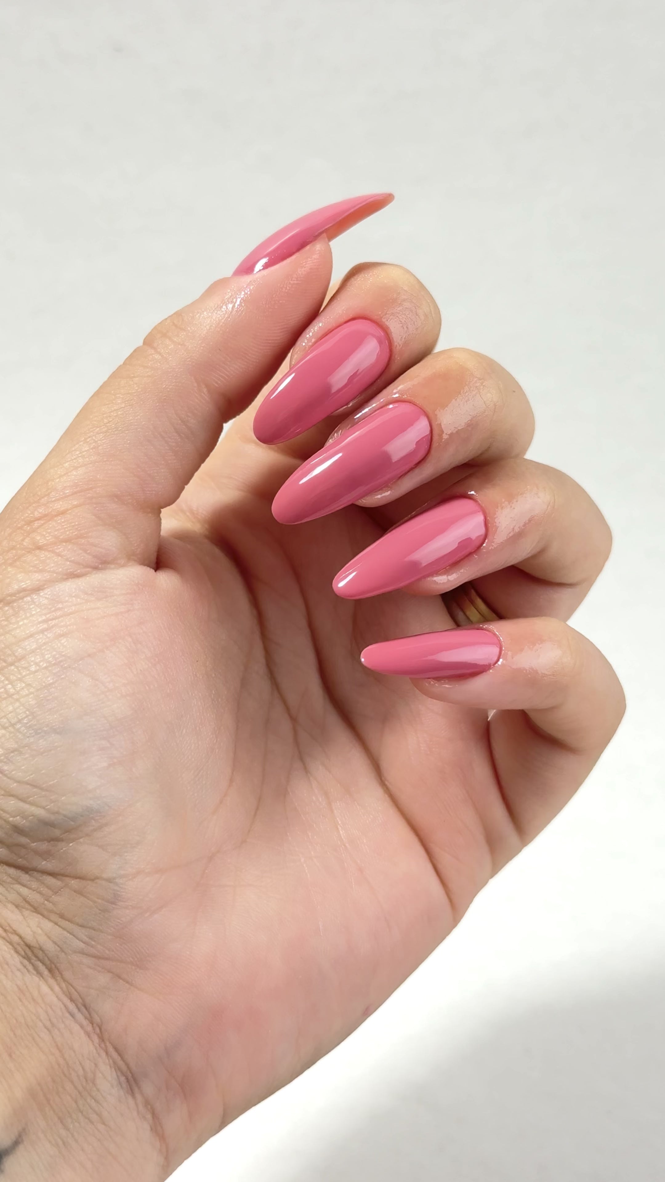 Carregar vídeo: Nutri Color - Care &amp; Colour - NC12