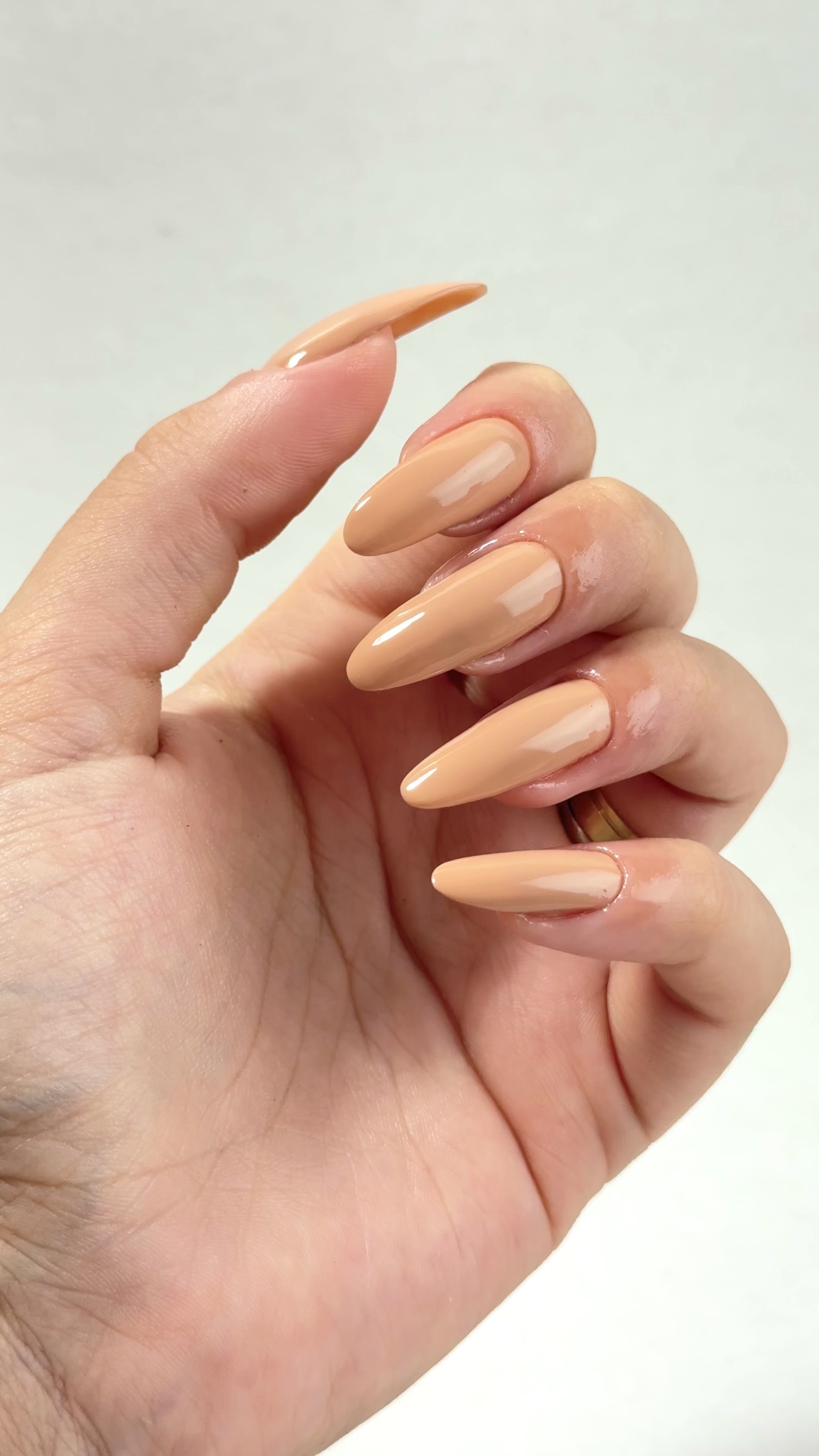 Carregar vídeo: Nutri Color - Care &amp; Colour - NC8