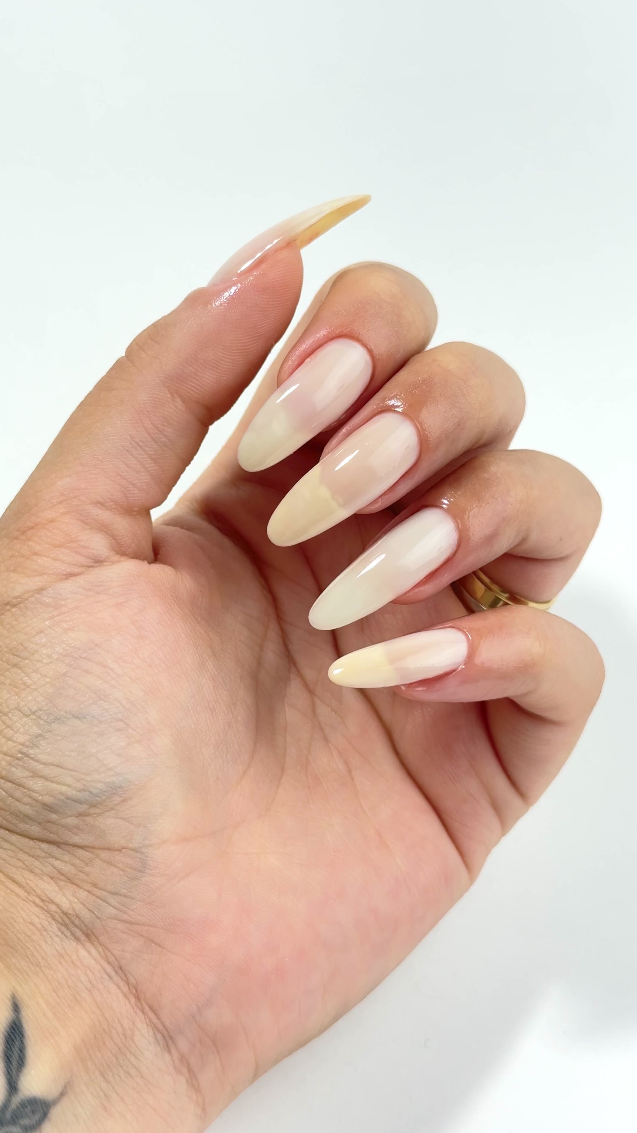 Carregar vídeo: Nutri Color - Care &amp; Colour - NC2