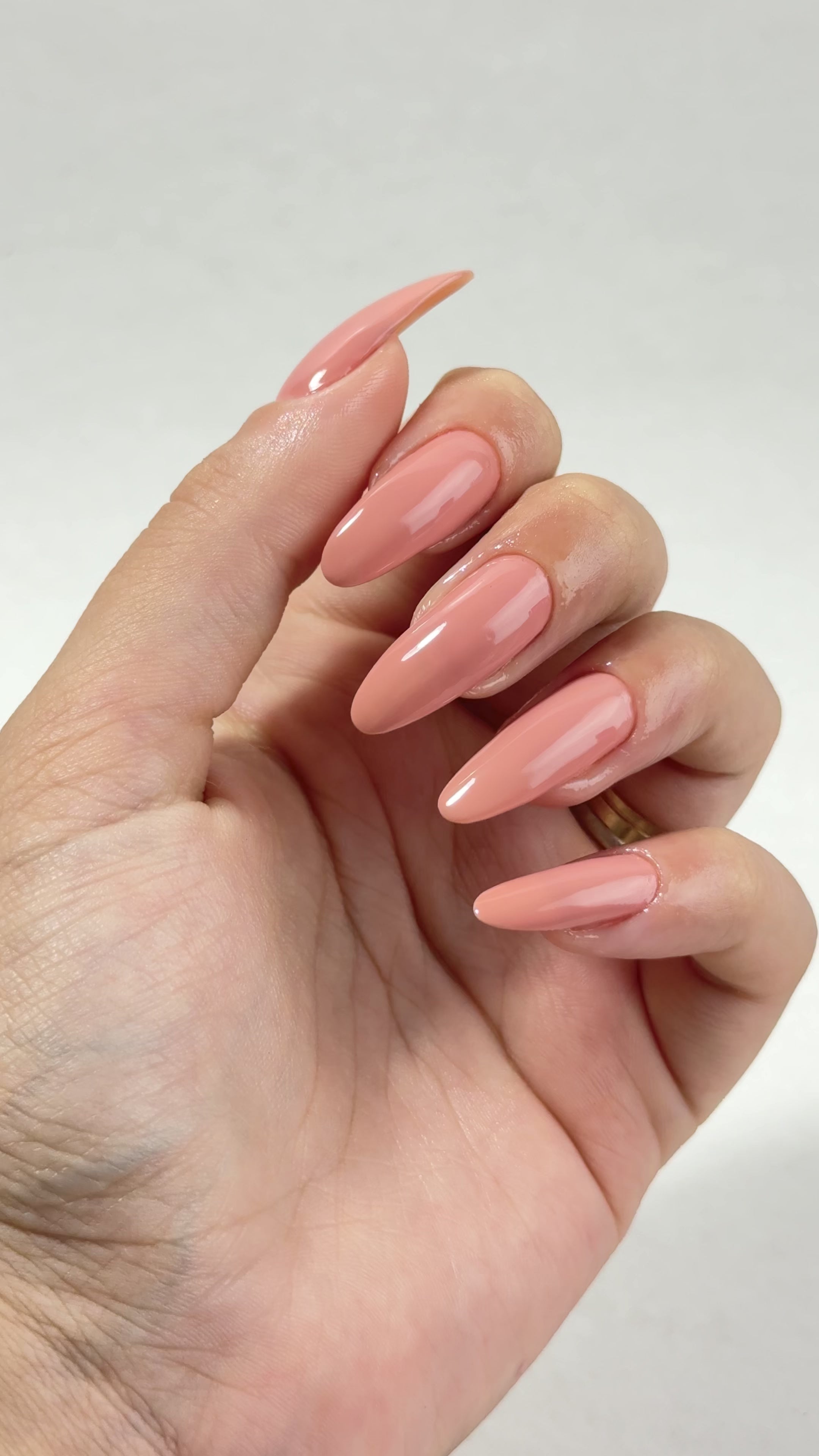 Carregar vídeo: Nutri Color - Care &amp; Colour - NC7