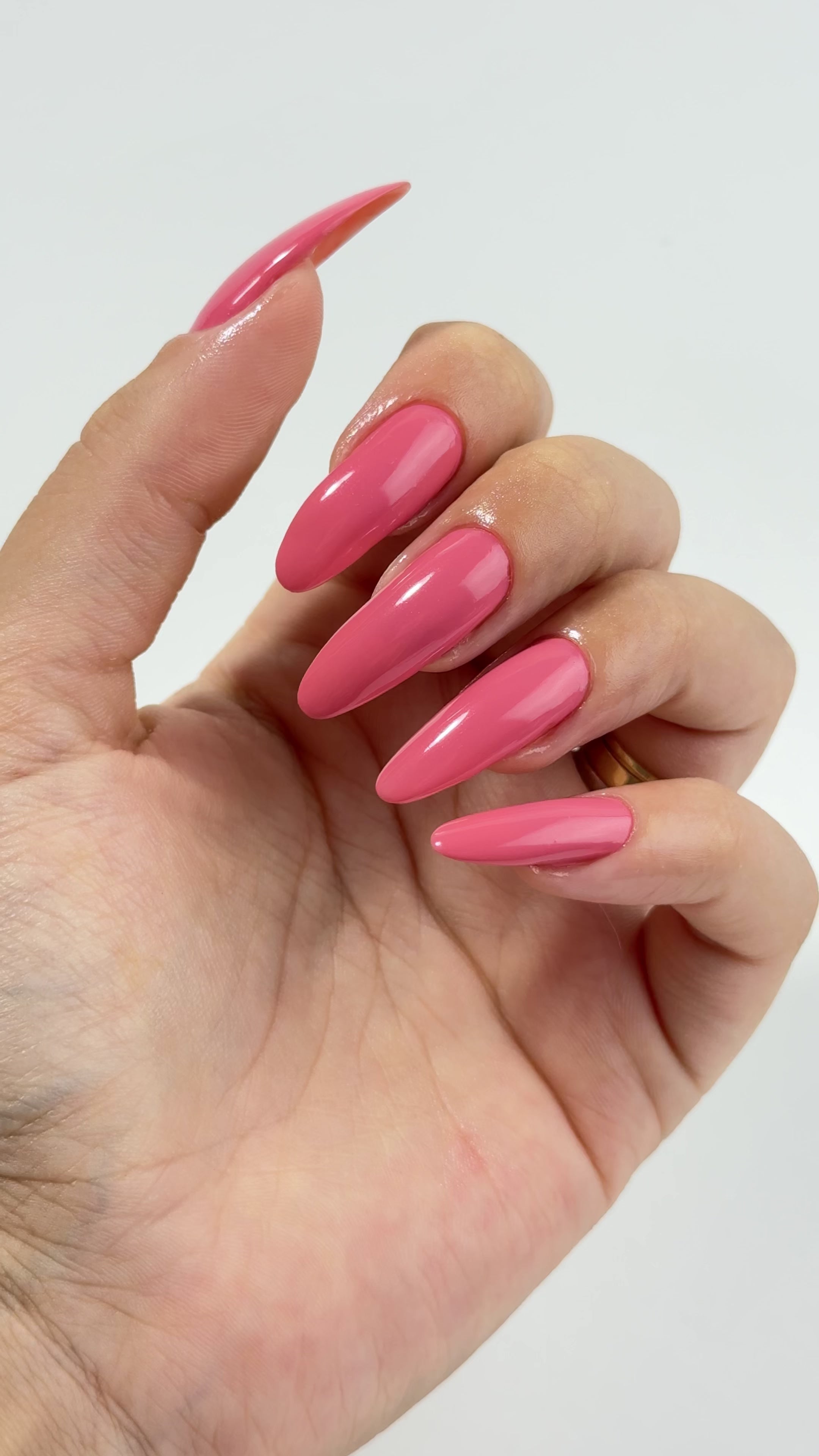 Carregar vídeo: Nutri Color - Care &amp; Colour - NC13